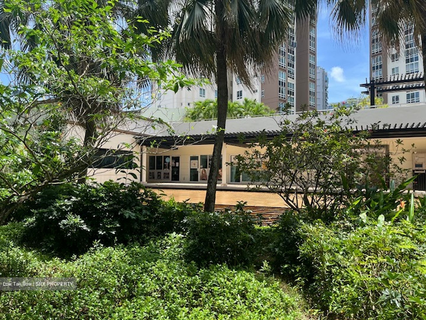 The Tropica (D18), Retail #447800281